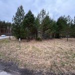 Nurmialue, jonka takana kasvaa pieni metsikkö havupuita.