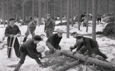 Kuvassa on mottitalkoot sota-aikaan vuonna 1942.