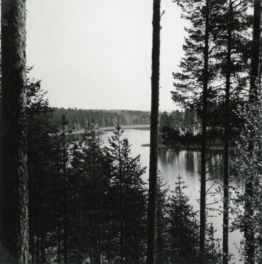 Kuvassa on maisema Petkeljärven kansallispuistosta vuonna 1961.